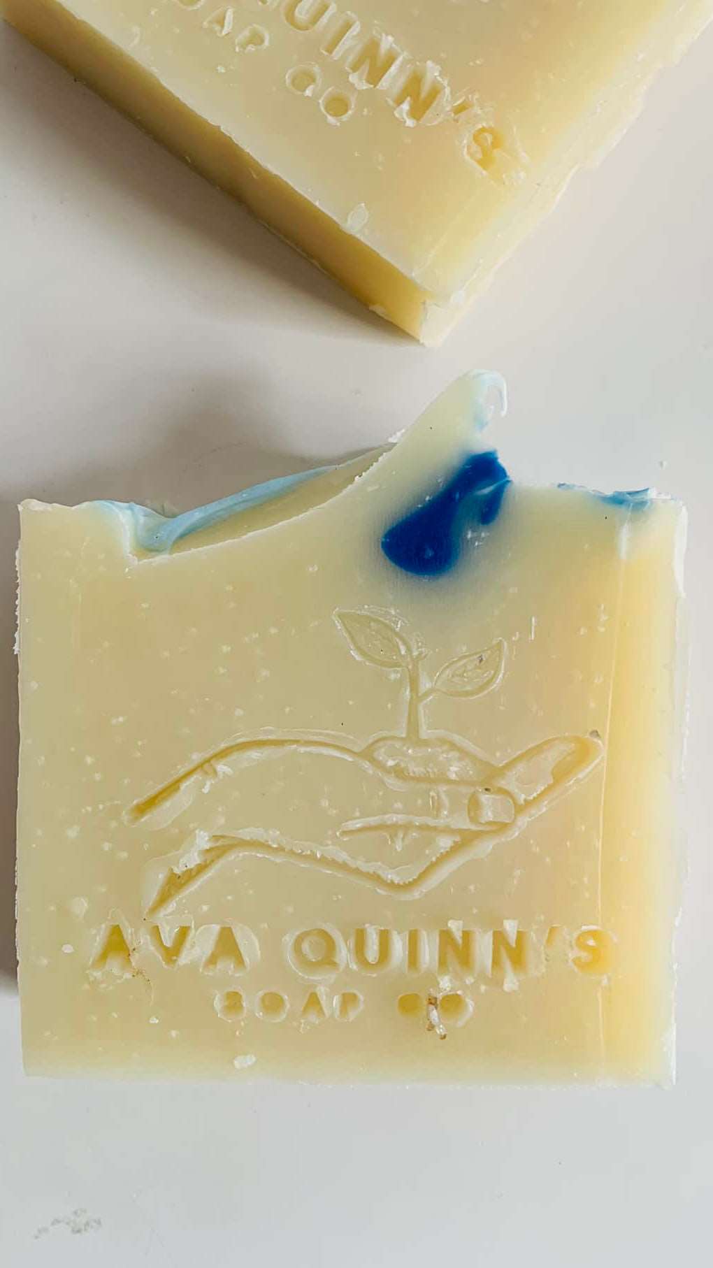 Chill the F out eucalyptus soap bar