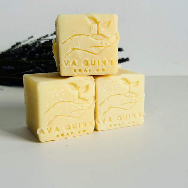 Organic Dish Vegan Soap Bar