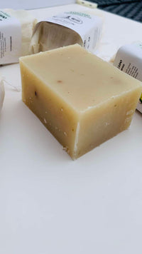 Avocado Solid Shampoo Bars Avocado Solid Shampoo Bars Avocado Solid Shampoo Bars Avocado Solid Shampoo Bars Avocado Solid Shampoo Bars Avocado Solid Shampoo Bars