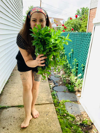 Handmade, Plant-Based & Eco-Friendly Soaps | Ava Quinn's