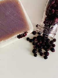 Blueberry from Ava Quinn's