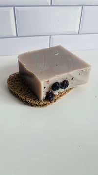 Blueberry from Ava Quinn's